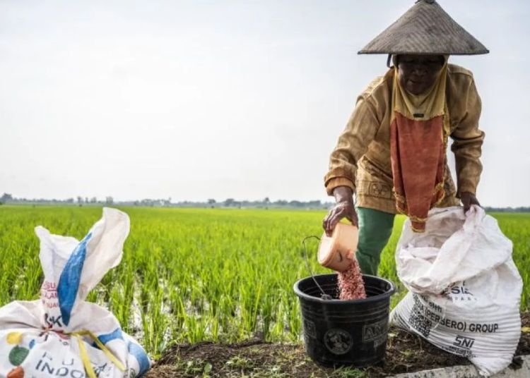 9,8 Juta Ton Pupuk Subsidi Siap Disalurkan Mulai 1 Januari 2026